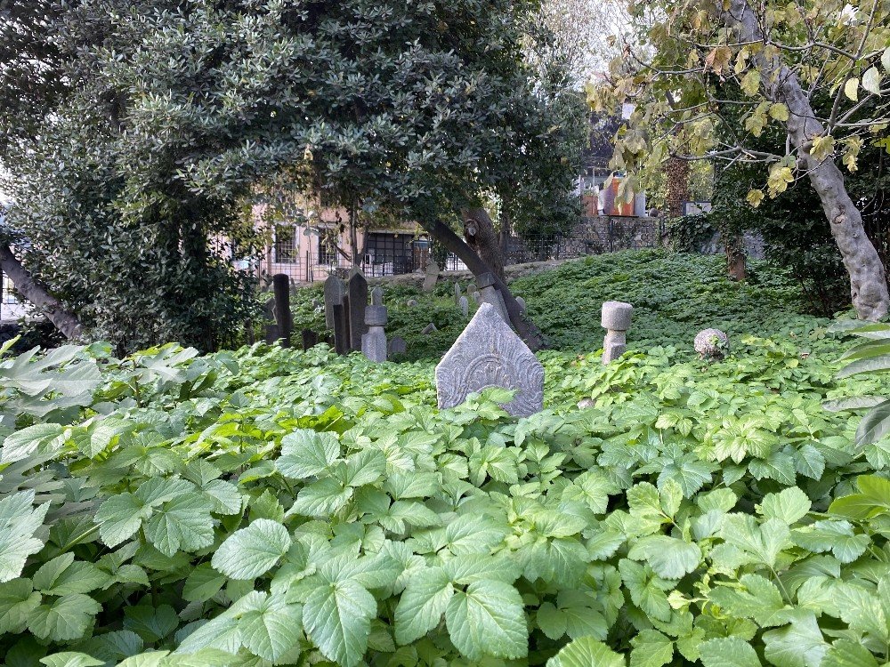 İstanbul’daki tarihi hazirenin hali yürek burktu