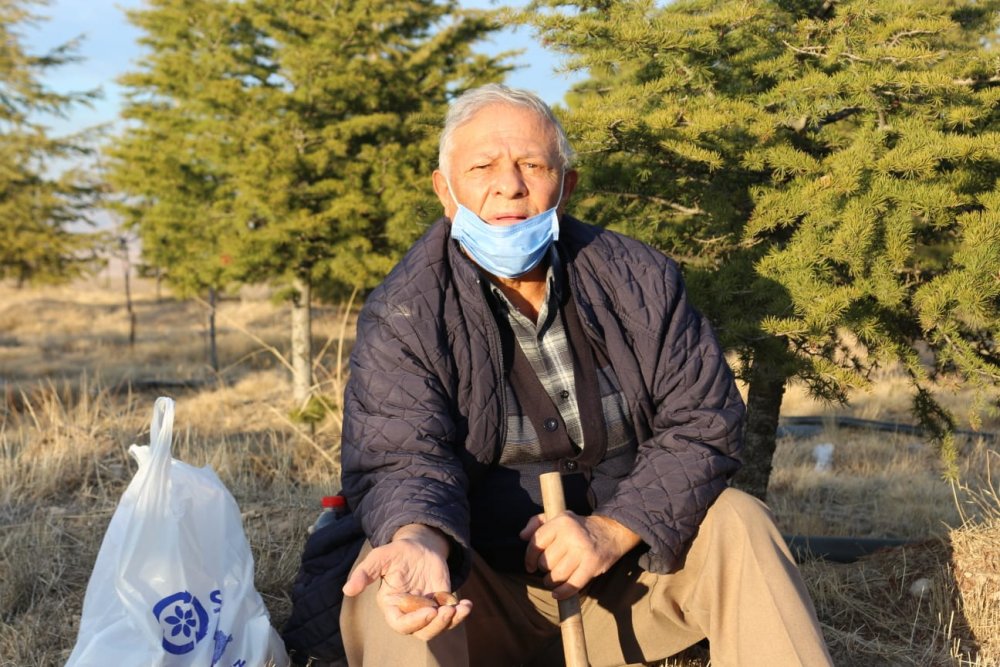 Konyalı Ramazan dedenin ağaç sevgisi bozkırı ormana çevirdi