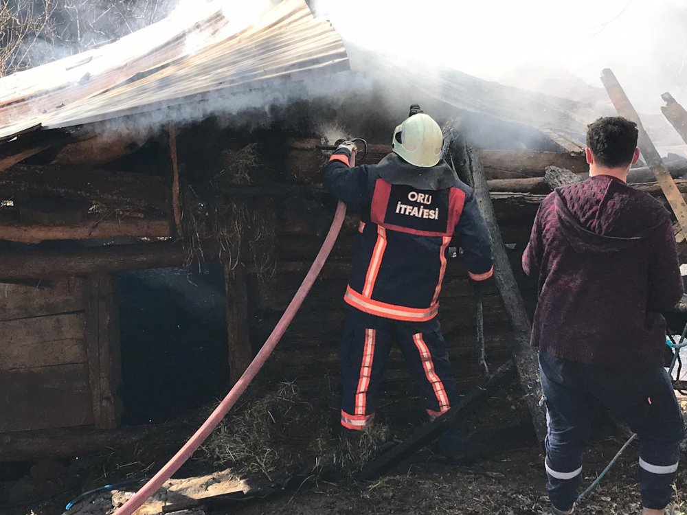Samanlık yangınından kurtarılan köpek yavruları tedavi altına alındı