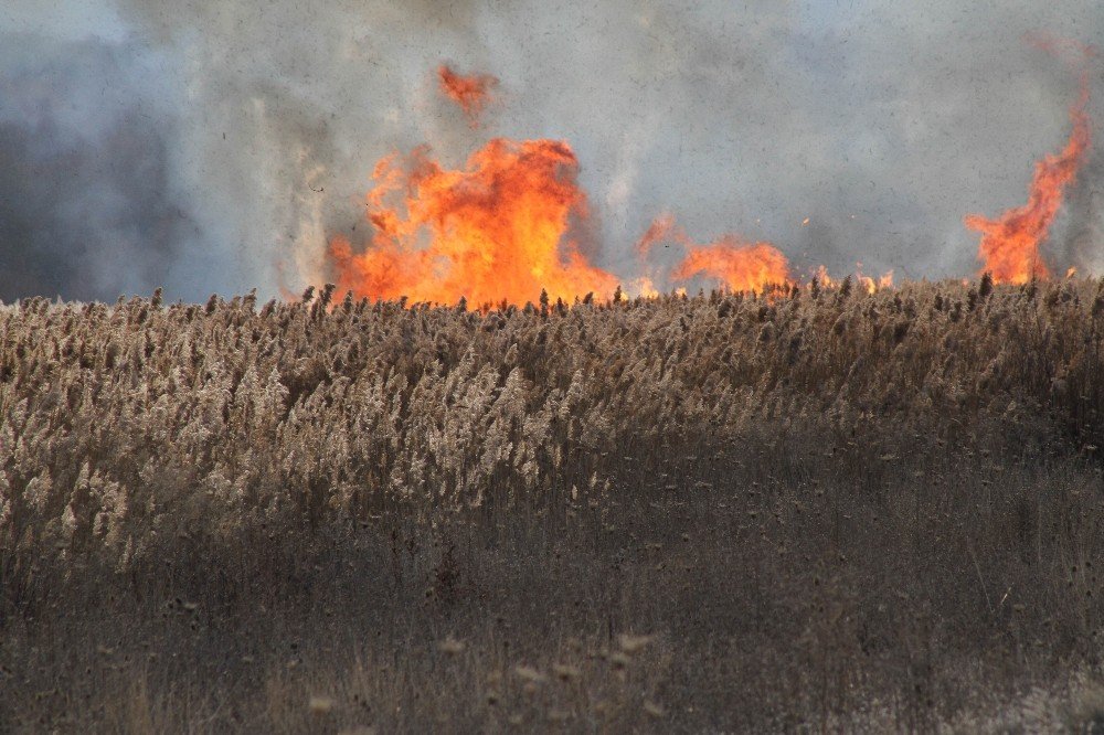 Konya'da aynı bölgede art arda çıkan iki yangın şüphe uyandırdı