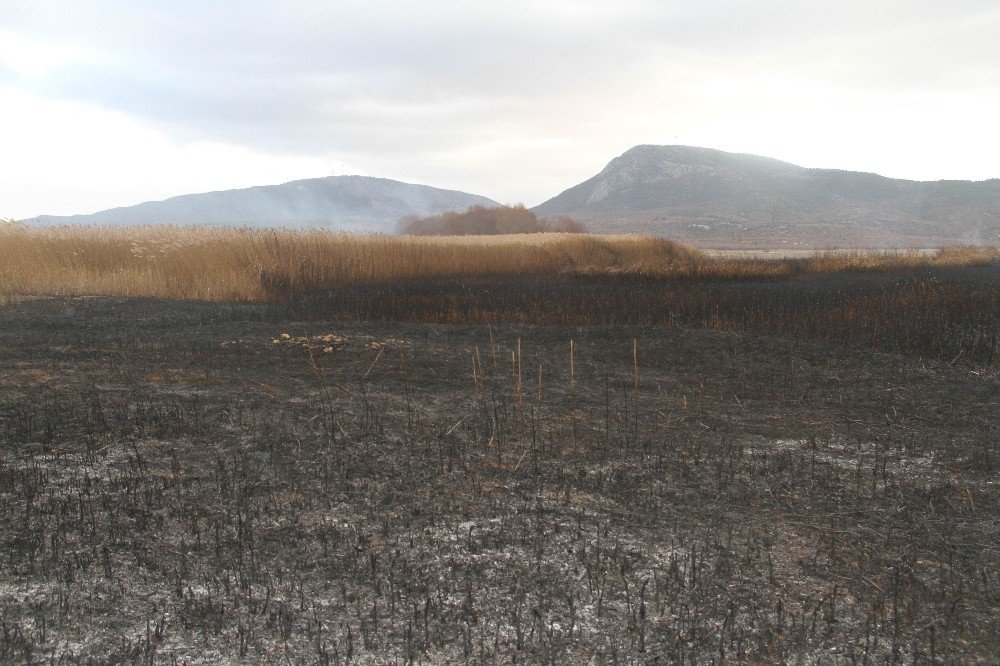 Konya'da aynı bölgede art arda çıkan iki yangın şüphe uyandırdı