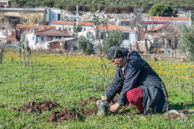 İzmir’de 2020 yılında 363 bin meyve fidanı dağıtıldı