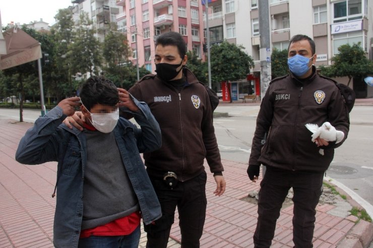 Sokağa çıkma kısıtlamasında güvercinle yakalandı