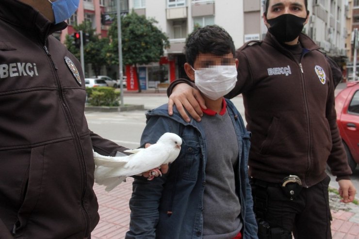 Sokağa çıkma kısıtlamasında güvercinle yakalandı