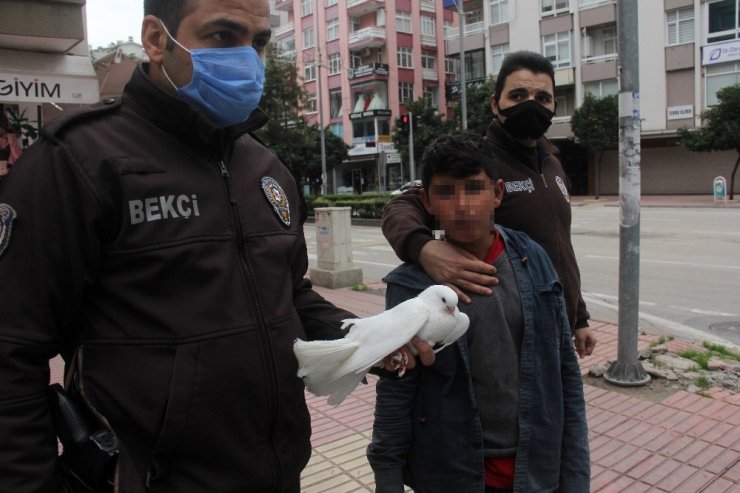 Sokağa çıkma kısıtlamasında güvercinle yakalandı