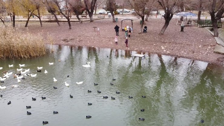 Gölbaşı gölleri kendisine hayran bırakıyor
