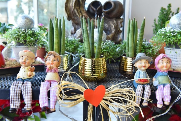 ANFA Bitki Evi’nde yeni yıl çiçekleri Başkentlileri bekliyor