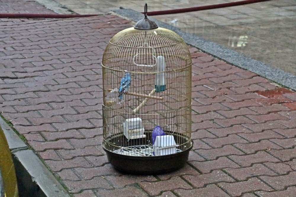 Antalya'yı ayağa kaldıran yangının sebebi belli oldu