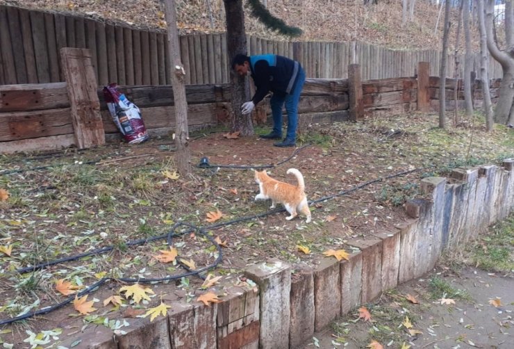 Battalgazi’de sokak hayvanları unutulmadı