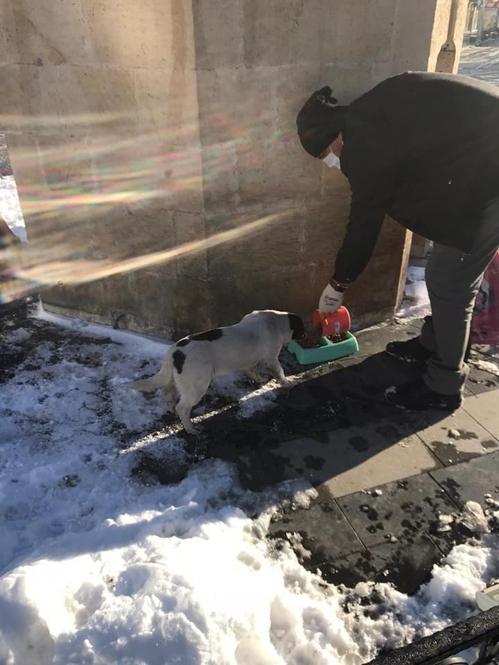 Bayburt’ta sokak hayvanları sokağa çıkma kısıtlamasında unutulmadı
