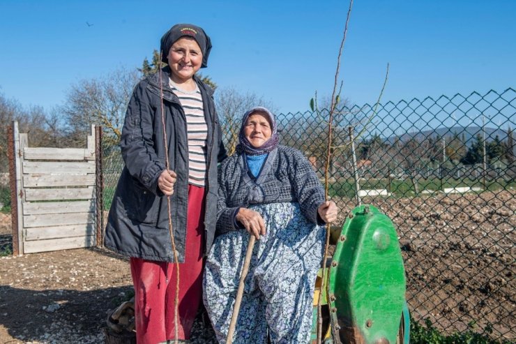 İzmir’de 2020 yılında 363 bin meyve fidanı dağıtıldı
