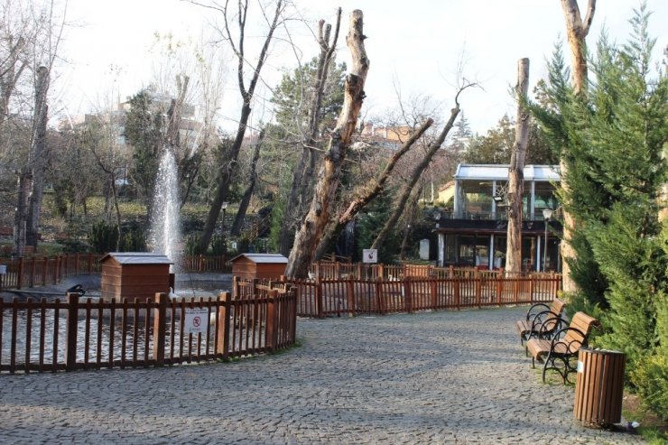 Ankara’da hafta sonu cadde ve sokaklar boş kaldı