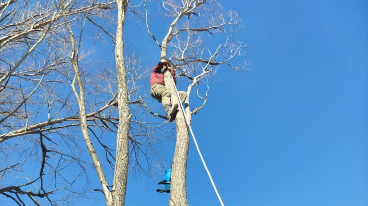 Sultan Sazlığı’nda kış hazırlıkları tüm hızıyla sürüyor