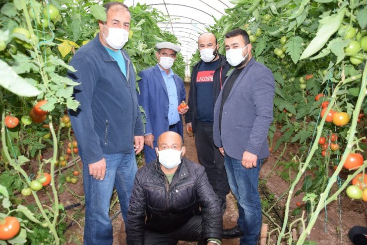 Başpehlivanlar domatese sahip çıktı