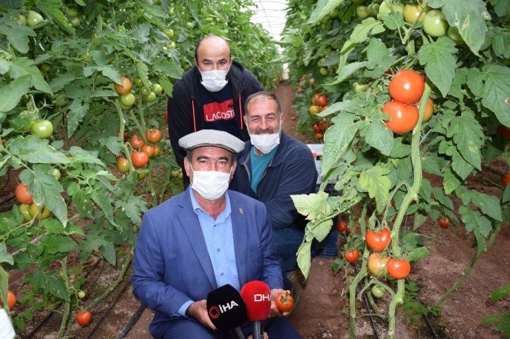 Başpehlivanlar domatese sahip çıktı