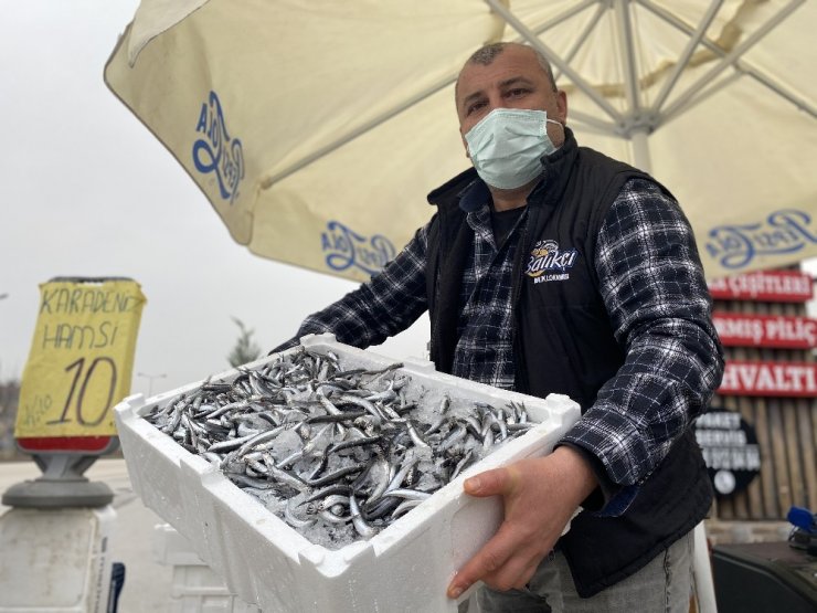 10 lira hamsiyi duyan tezgaha koştu