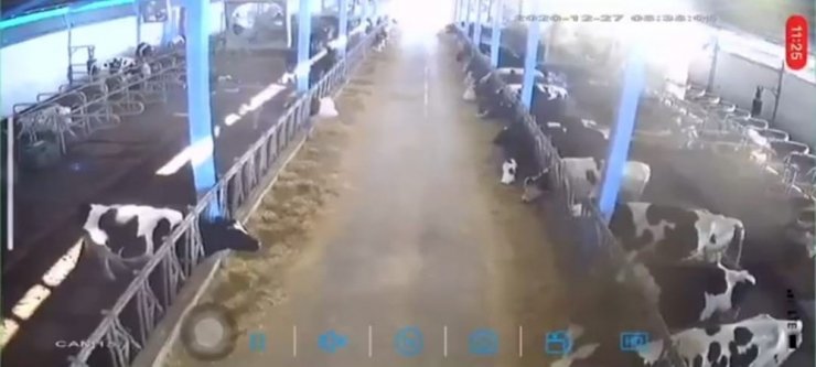 Elazığ’da depremin büyüklüğünü gösteren yeni görüntüler dikkat çekti