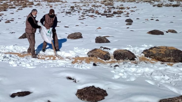 Elazığ’da kaçak avla mücadele ve yaban hayvanlarına yem desteği