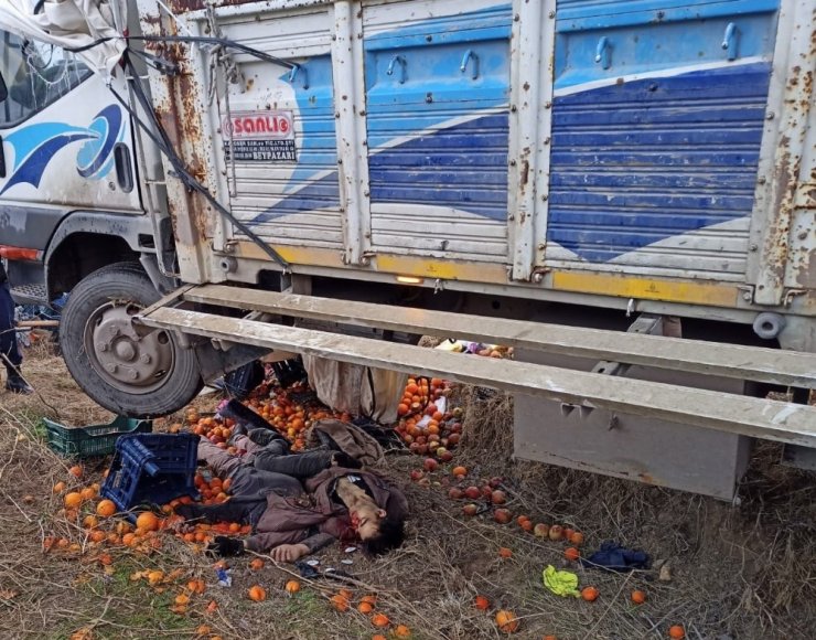 Virajı alamayan meyve yüklü kamyon şarampole uçtu: 2 ölü, 2 yaralı