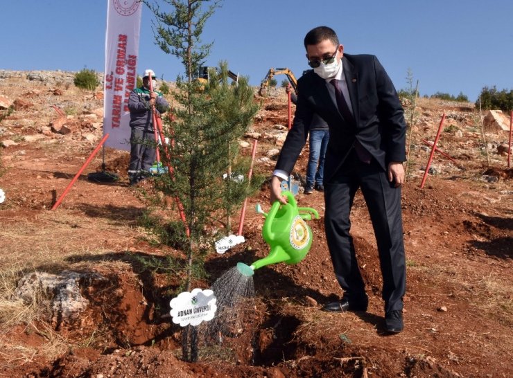 GSO’nun yılbaşı hediyesi GAGİAD ormanına fidan bağışı