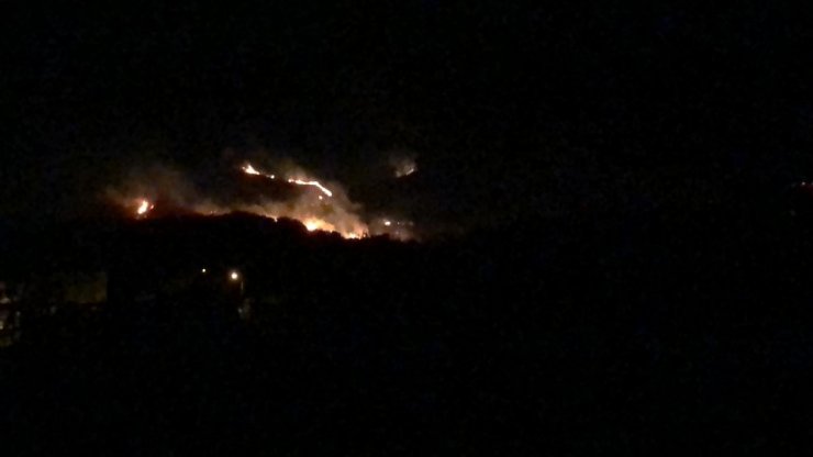 Hatay’da 4 ayrı noktada yangın