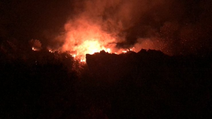 Hatay’da çıkan yangın 6 saat sonra söndürüldü soğutma yapılıyor