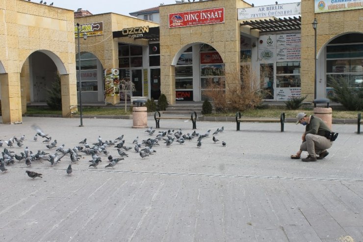 HAYDİ polisleri sokak hayvanlarını unutmadı
