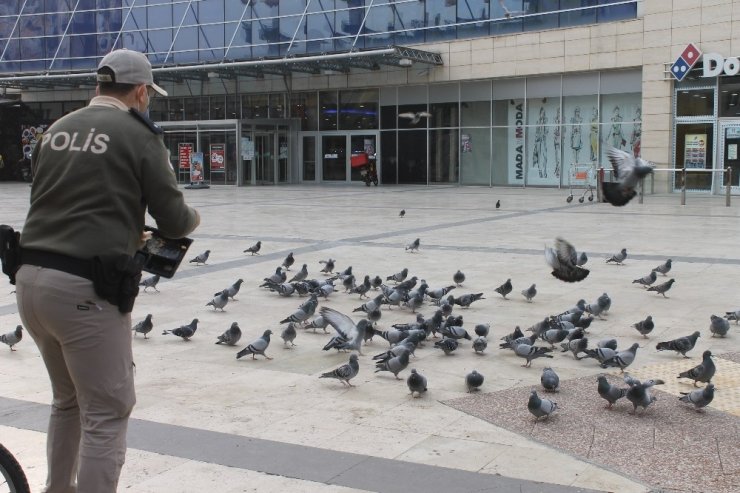 HAYDİ polisleri sokak hayvanlarını unutmadı
