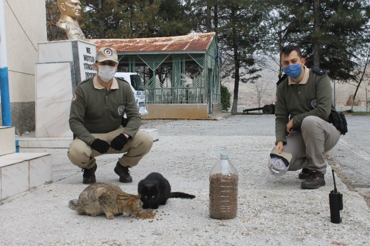 HAYDİ polisleri sokak hayvanlarını unutmadı