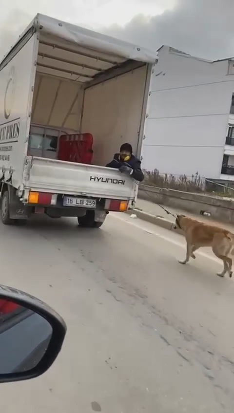 Köpeği kamyonetin arkasında sürükledi