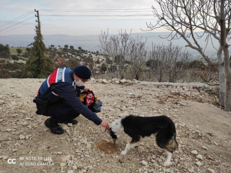 Selendi’de kolluk kuvvetleri sokak hayvanlarını unutmadı