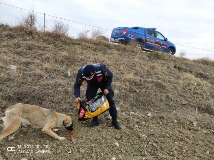 Selendi’de kolluk kuvvetleri sokak hayvanlarını unutmadı