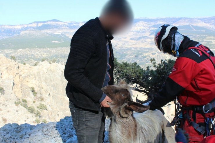 Kayalıklarda mahsur kalan keçi, kurtarıldı