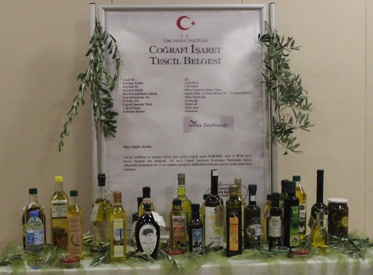 Bakan Pakdemirli: “Milas’ın binlerce yıllık zeytinyağı AB Komisyonunca koruma altına alındı”