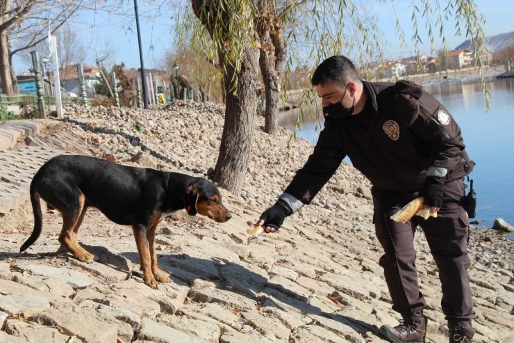 Mahalle bekçisinden yürekleri ısıtan görüntü