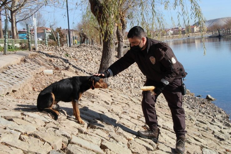 Mahalle bekçisinden yürekleri ısıtan görüntü