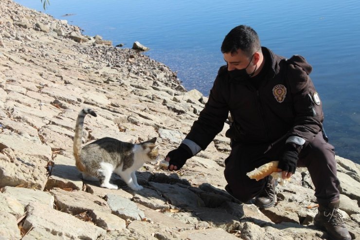 Mahalle bekçisinden yürekleri ısıtan görüntü
