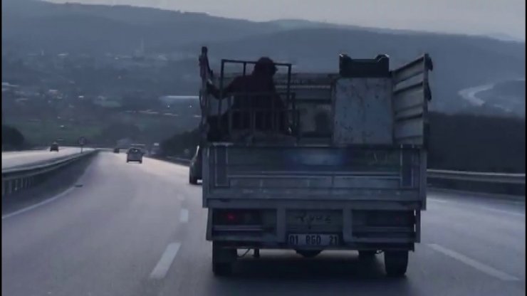 Şile’de kamyonet kasasında tehlikeli yolculuk kamerada