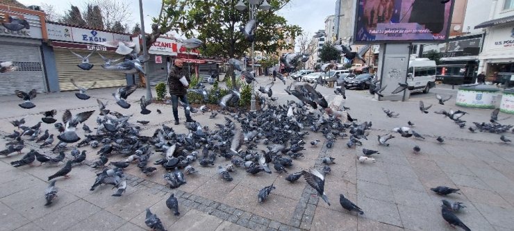 Silivri’de aç kalan güvercinleri polis besledi