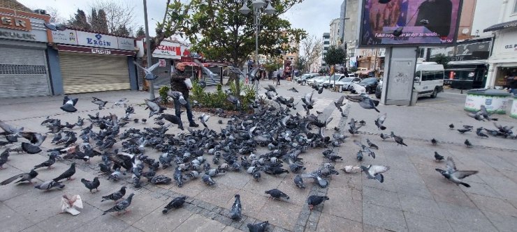 Silivri’de aç kalan güvercinleri polis besledi