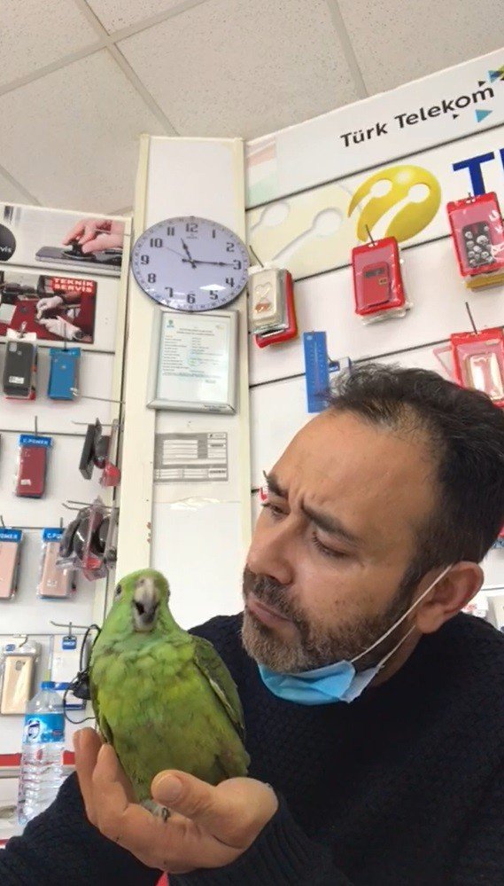 Papağan Melo sosyal medyada fenomen oldu