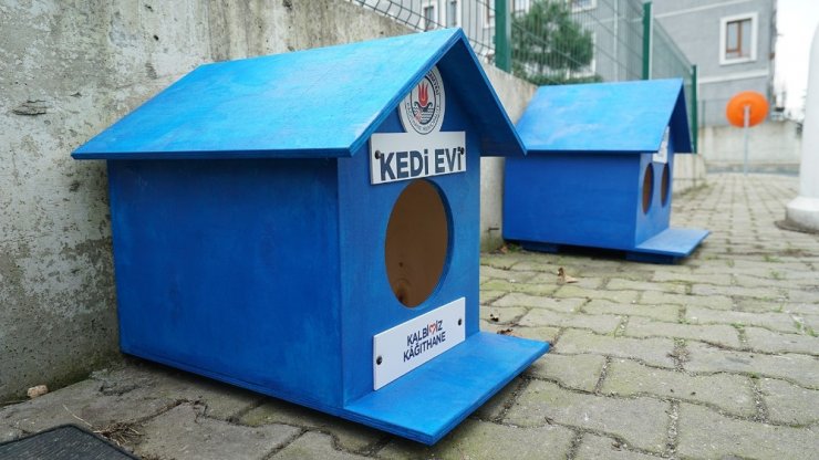 Kağıthane’de sokak hayvanları unutulmuyor