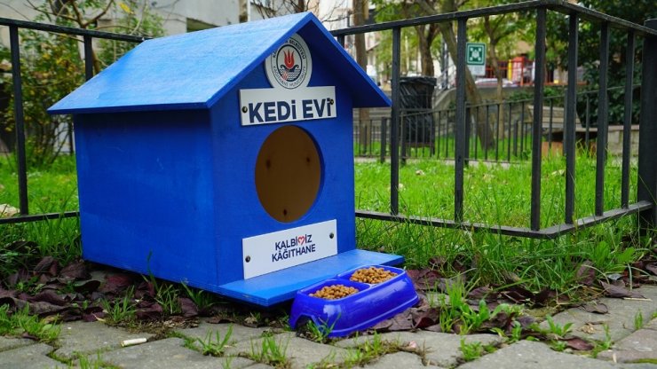 Kağıthane’de sokak hayvanları unutulmuyor