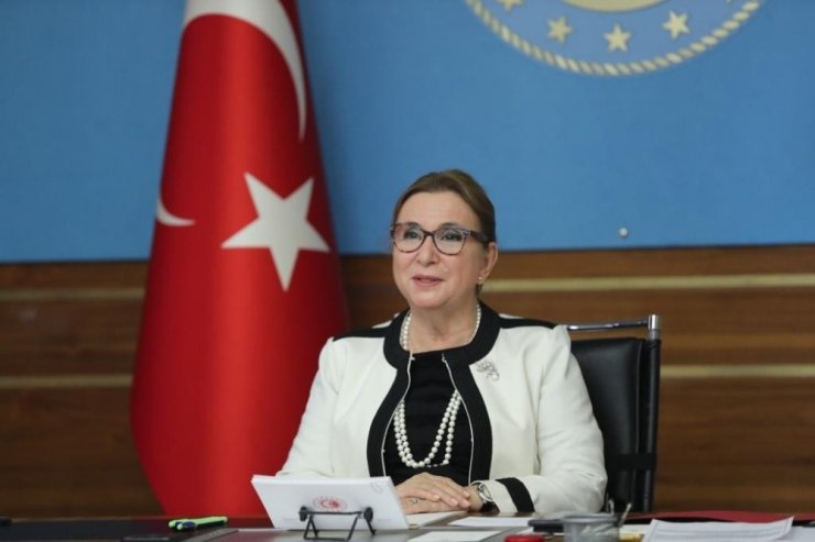 Bakan Pekcan: “Birleşik Krallık ile Serbest Ticaret Anlaşmamızı yürürlüğe koyabilmek için Brexit sürecini nefes nefese, dakika dakika takip ediyoruz”