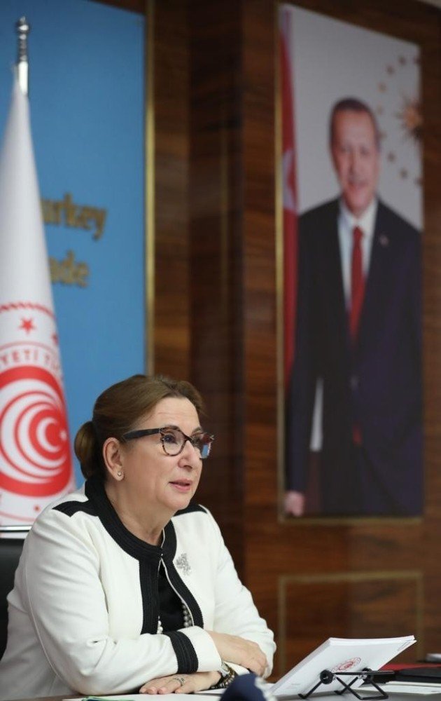 Bakan Pekcan: “Birleşik Krallık ile Serbest Ticaret Anlaşmamızı yürürlüğe koyabilmek için Brexit sürecini nefes nefese, dakika dakika takip ediyoruz”