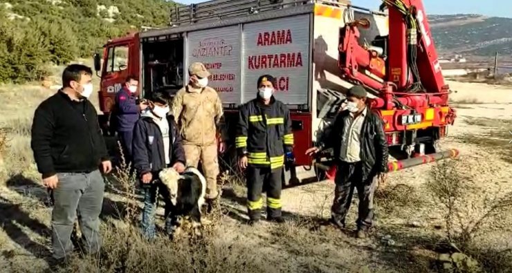 Uçurumda mahsur kalan keçiye kurtarma operasyonu