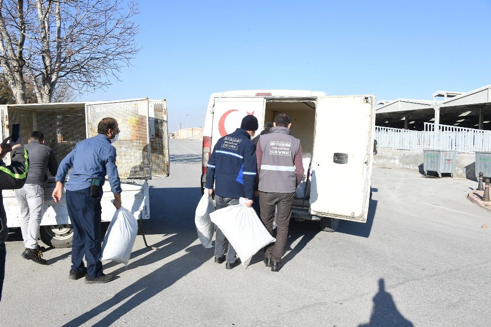 Konya'da kısıtlamada sokaktaki dostlar unutmadı