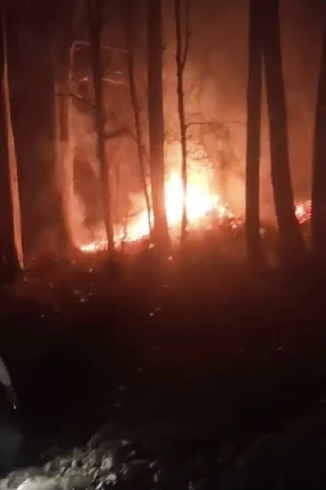 Düzce'deki orman yangınını köylüler söndürdü