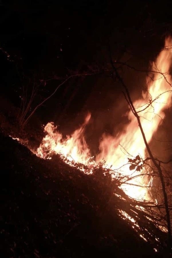 Düzce'deki orman yangınını köylüler söndürdü