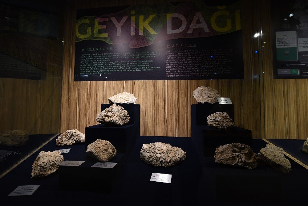 Milyonlarca yıllık taşlar Konya'da!